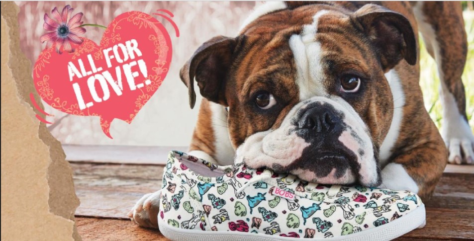 Skechers Steps Up for Shelter Pups: Get Dog-Print Shoes and Support Rescue Dogs!