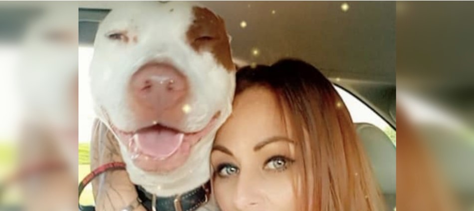 Woman Breaks Into Animal Shelter To Save Her Dog From Euthanasia