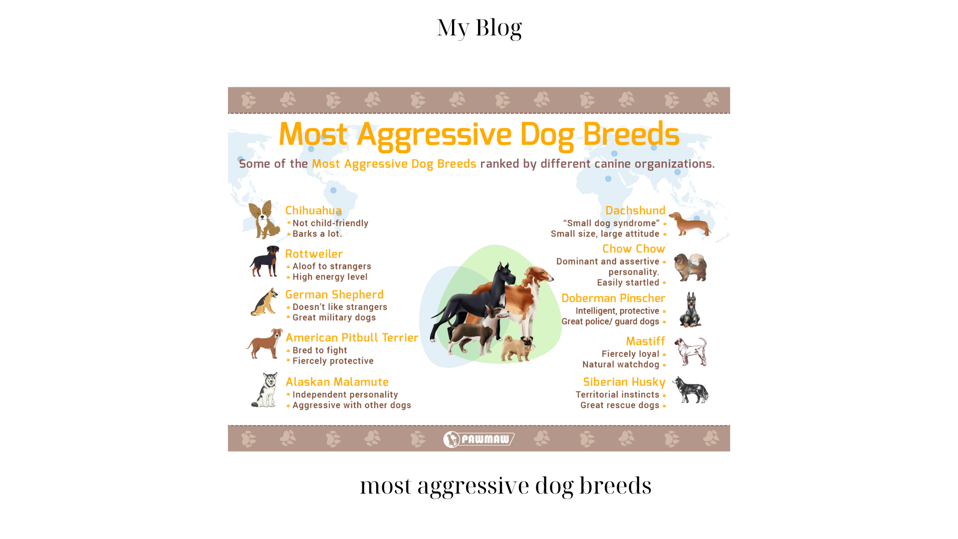 Most Aggressive Dog Breeds: Understanding Their Temperament and Behavior